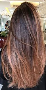 Chestnut brown highlights with golden tones are a great way for women with medium to dark complexions to warm up their naturally black or dark brown hair. 37 Brown Hair Colour Ideas And Hairstyles Bright Chestnut