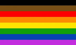 Image result for queer flags
