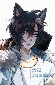 Pin By Logan Durland On Wallpaper Anime Wolf Boy Anime Anime Cat Boy Anime