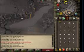 The baby chinchompa is an osrs skilling pet that can be received while catching any kind. Got A Rock Golem Pet From Mining Volcanic Ash How Rare Is This 2007scape