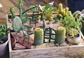 Un Mini Jardin Cactuseros Cute A Southwest Fairy Garden Mini Cactus Garden Mini Garden Miniature Fairy Gardens