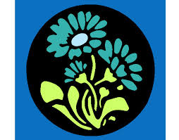 Aqui você encontrará centenas de desenhos prontos para imprimir. Desenhos De Plantas Para Colorir Colorir Com