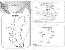 Literature review 2.1 the psychidae 2.2 bagwoms: Pdf Controlling Metisa Plana Walker Lepidoptera Psychidae Outbreak Using Bacillus Thuringiensis At An Oil Palm Plantation In Slim River Perak Malaysia Semantic Scholar