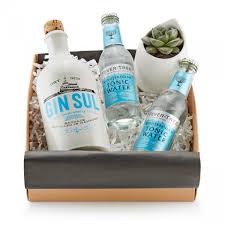 Geschenkset Gin Tropic Das Geschenkset Gin Tropic Fur Wahre Geniesser Kombiniert Mit Der Mini Sukkulente Im Topf Zum Aufhange Kundengeschenke Gin Geschenke