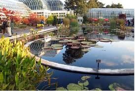 📰რუბრ... - ქუთაისის ბოტანიკური ბაღი / Kutaisi Botanical Garden | Facebook