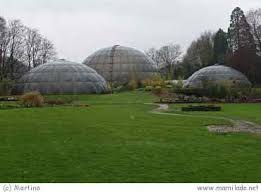 25 passende hotels nahe botanischer garten zürich. Botanischer Garten Der Universitat Zurich Mamilade Ausflugsziele