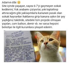 Bizim Sitede Bir Ana Kiz Var Bir Aksam Arkamdan Titreye Titreye Geliyolar Ya Simdi Surdan Cikarsa Diyo Annesi Dedim Herhalde Sapik Va Kedi Hayvanlar Guzel Soz