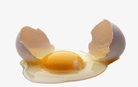 Broken Eggs Broken Egg Egg Art Eggs