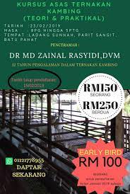 Belajar ternak domba tanpa ngarit yogyakarta. Ma Az