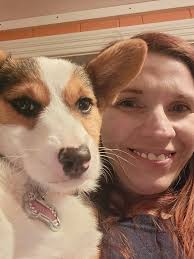 Corgis with tails from around the world