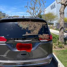 Maybe you would like to learn more about one of these? The Bee Removers Home Facebook