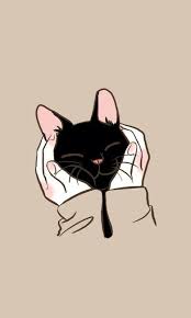Loooooook At Thissssh Kitten Wallpaper Cat Art Cat Wallpaper