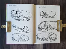 Engages in the management and operation of bookstore chains in universities. Review Barnes And Noble Rainbow Sketchbook Kiriska