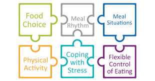 6 Proven Habits For Successful Weight Loss - Weight Loss Resources