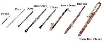 This article is about the instrument in the flute family. Instrument Review Instrument Families Review And Games Woodwind Instruments Bass Clarinet Piccolo Instrument