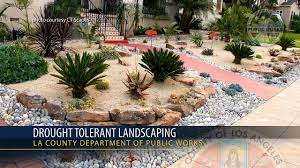 We did not find results for: Psa Drought Tolerant Landscaping Youtube