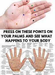 Image Result For Pressure Points To Knock Someone Out