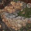 Story image for environment news articles from Nature.com