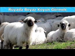 Pin On Ruya Tabirleri