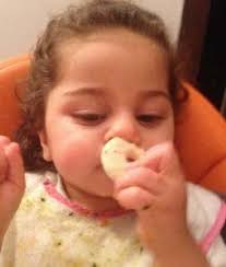 Volume 5, Issue 1, November 2016 Signal CRND Newsletter Vol. 5, 2014-2016  Mission Statement. The Boler-Parseghian Center for Ra