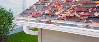They not only keep leaves out, but animals as well. Is The Cost Of Gutter Guards Worth It Leaffilter