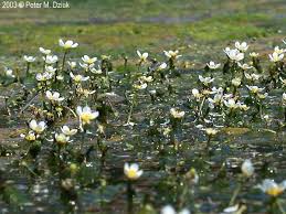 Pin On Nature