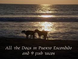 The sangria was perfect match. All The Dogs In Puerto Escondido And 9 Fish Tacos By Brad Brace