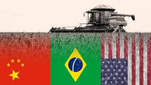 It produced over 20 million vehicles in brazil, having been market leader for the majority of their more than sixty years in existence. Us Tariffs Tip Soyabean Balance In Brazil S Favour Financial Times