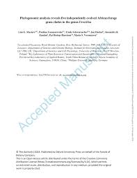 Image result for Urochloa leersioides