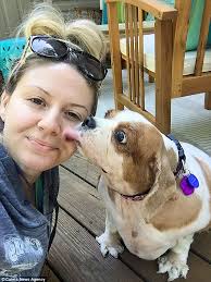 Spaniel lost half her body weight thanks to doggy diet