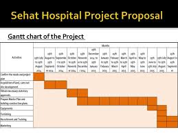 New Hospital Construction Gantt Chart