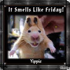 Sending a funny message to your partner set the tone for a lighthearted mood that can last all day. Friday Funny Good Morning Sayings Page 1 Line 17qq Com