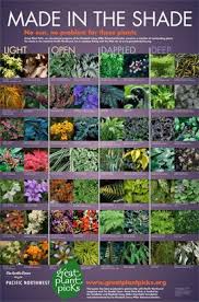 Great Plants For All Kinds Of Shade To Date Over 800 Exceptional Plants Have Been Selected For Gardeners Livin Shade Garden Plants Shade Garden Design Plants