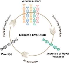 Evolution Of Urban Forms Observed From Space | Epj Data Science | Full Text
