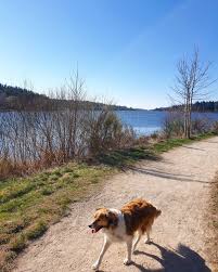 04 50 60 57 20 email : Par Monts Et Par Vaux Home Facebook