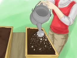 This will kill microorganisms that could harm the seed. How To Start A Vegetable Garden 15 Steps With Pictures