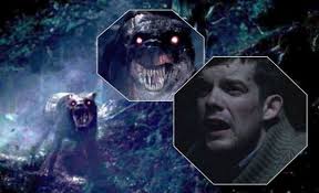 Leaves in a Pond — SHOES FOR THE HOUND