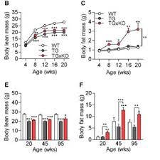 Tulang belulang yang ditemukan di kanal pt. Pdf Muscle Derived Gdf15 Drives Diurnal Anorexia And Systemic Metabolic Remodeling During Mitochondrial Stress