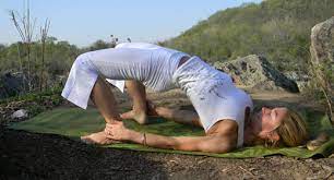 We did not find results for: Kundalini Yoga Postures Also Known As Asanas Awaken