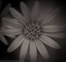 Who is Doug Harman? Ashford based Photographer.