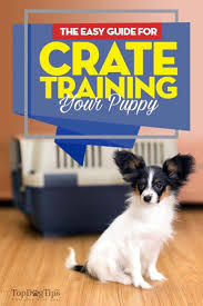 Decisive Constructed Dog Training For Obedience Members Only Crate Training Puppy Training Dog Training Obedience