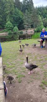 Mallards Pike parkrun event 160 – Two different views (Corinna Tannian –  Severn Bridge parkrun & Martin Fowler – Berkeley Green parkrun) | Mallards  Pike parkrun | Page 4