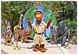 For a delightful feel of central there are many species of monkeys, birds, dromedary camels (seasonal), long snouted giant anteaters. Santa Ana Zoo Wild Animal Birthday Celebration Kid 101