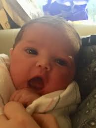 Rick Catalano (@rickcat1)