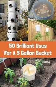 I have many 5 gallon buckets from harbor i use in my garden and plant raising, but i wanted the red one to use. 50 Brilliant Uses For A 5 Gallon Bucket Container Gardening Vegetables Bucket Gardening 5 Gallon Buckets