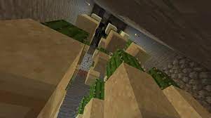 If you need to repot, wait until the flower has quit blooming. Made A Cactus Farm On Bedrock Not Getting Any Drops What Are The Requirements For Cactus To Grow Minecraft