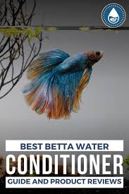 Best Betta Water Conditioner Guide And Product Reviews In 2020 Betta Betta Tank Nano Tank