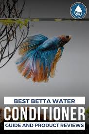 Featuring bright colors and elegant, flowing fins betta fish are the perfect. Best Betta Water Conditioners Betta Betta Tank Nano Tank