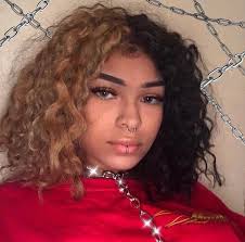 Pin By Farrah Waller On Attractive Dyed Natural Hair Split Dyed Hair Hair Styles