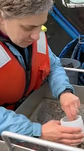 Meet Benjamin Hauser. Benjamin is graduating with a Degree in Biochemistry  and Molecular Biology. Here are some of his thoughts about his major and  OSU experience: "The rigorous nature of the biochemistry